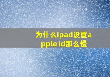 为什么ipad设置apple id那么慢